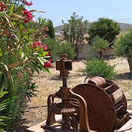 Studio Angelika Glinado Naxos