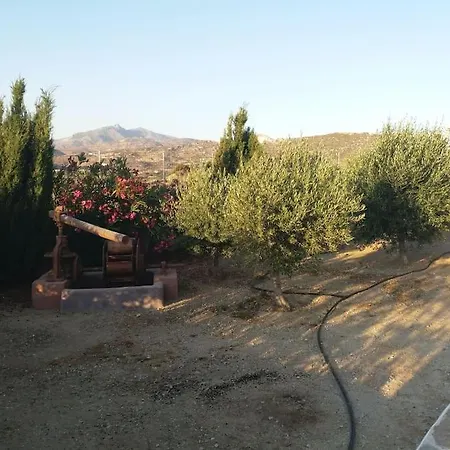 Studio Angelika Holiday home Glinado Naxos
