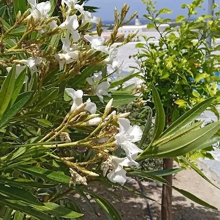 Studio Angelika Glinado Naxos