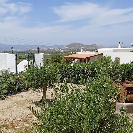 Studio Angelika Holiday home Glinado Naxos